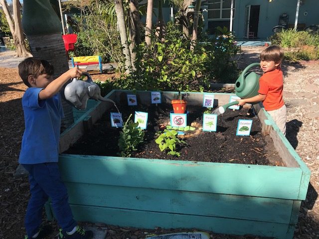 Children tending a raised garden bed at Miami Springs Montessori School